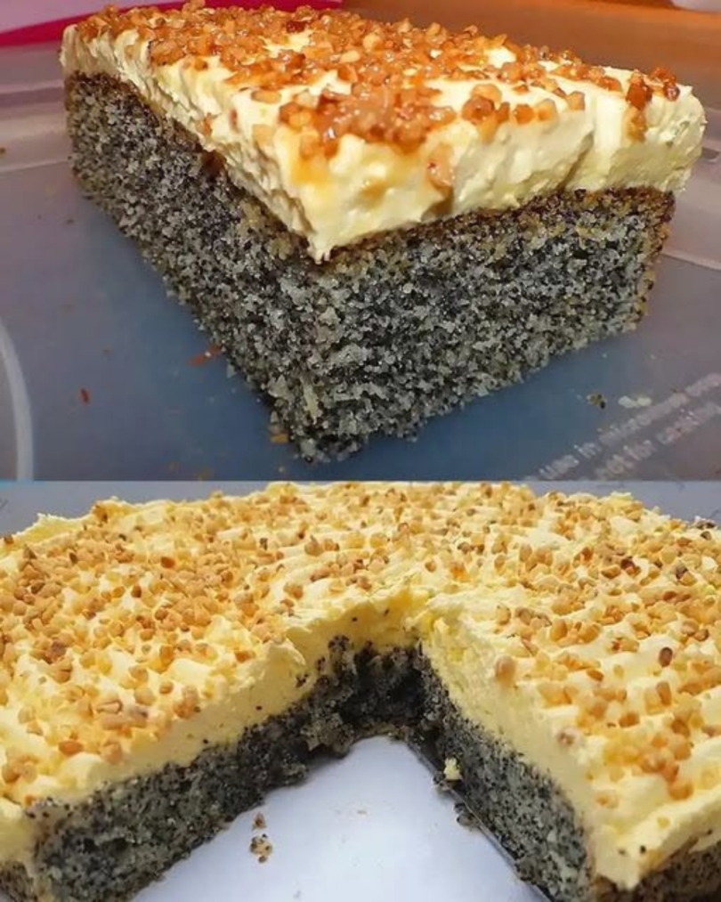 Schneller Mohnkuchen mit Paradiescreme und Haselnusskrokant